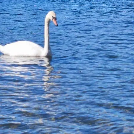 Lejlighed Silver Jordan *